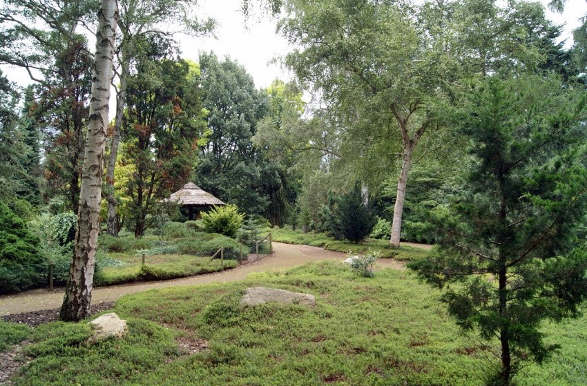 Zum Forstbotanischen Garten, Germany, Germany